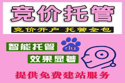 解析sem代运营公司经典案例：如何实现ROI最大化